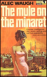 The Mule On The Minaret